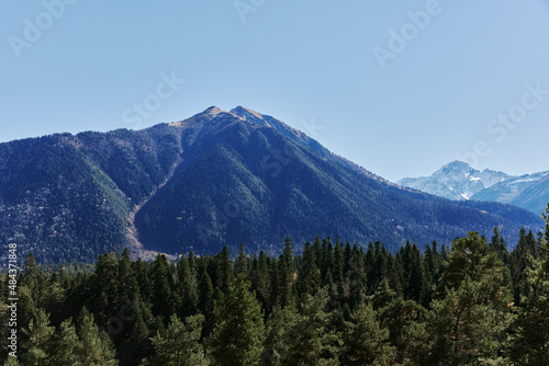 mountain forest blue sky sunny money nature landscape ecology