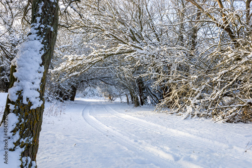 Wallpaper Mural snow covered road Torontodigital.ca