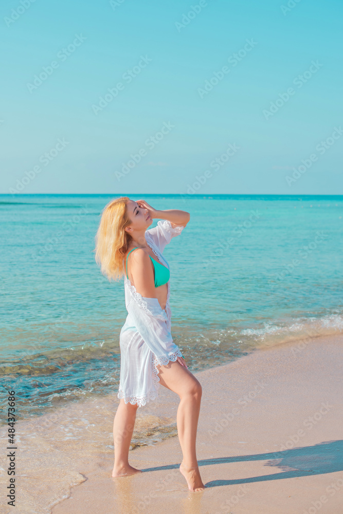 Vacation scene. Panoramic views of blue sea and coastline. Beautiful landscape, aerial view, Egypt. Plus size woman enjoys view of coast of Red Sea. High quality photo Vacation scene. Panoramic views of blue sea and coastline. Beautiful landscape, aerial view, Egypt. Plus size woman enjoys view of coast of Red Sea. High quality photo