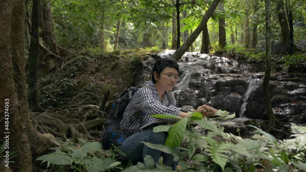 Asian female botany researcher examining and learning characteristics of plants that grow around waterfall. Forest nature and biological process of photosynthesis. Writing and drawing on notebook. Asian female botany researcher examining and learning characteristics of plants that grow around waterfall. Forest nature and biological process of photosynthesis. Writing and drawing on notebook.