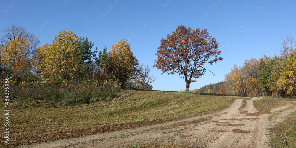 Mid-autumn landscape in the countryside. October, 2019, environs of Minsk, Belarus 
