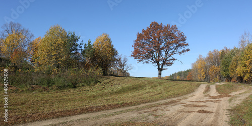 Mid-autumn landscape in the countryside. October, 2019, environs of Minsk, Belarus 