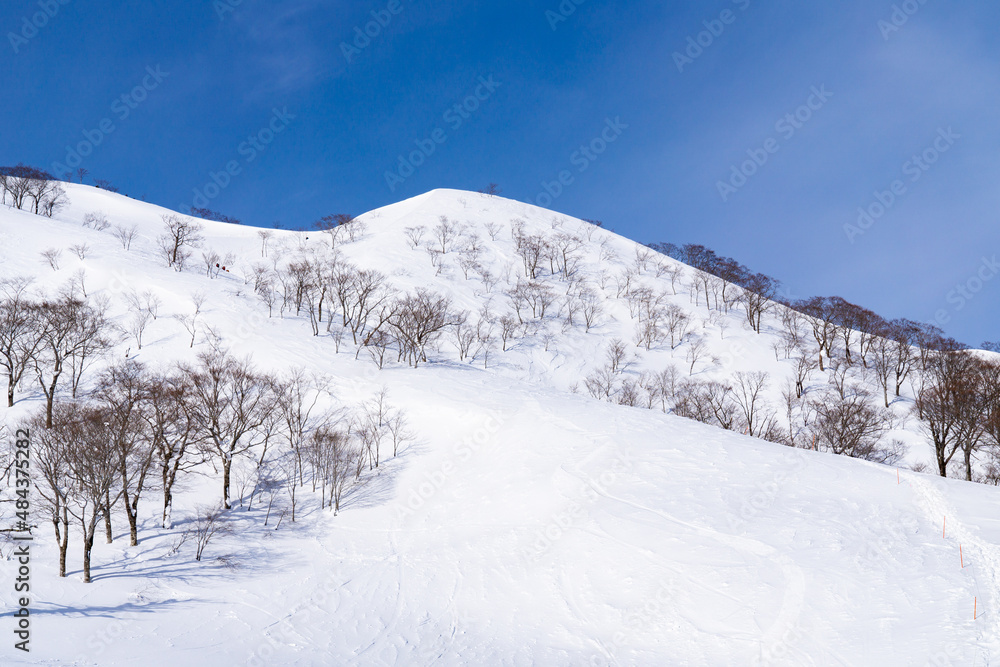 谷川岳　天神平　冬景色