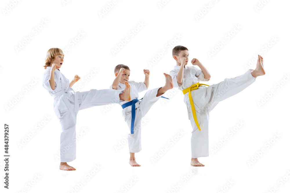 Group of kids, boys, taekwondo athletes wearing doboks training together isolated on white background. Concept of sport, martial arts