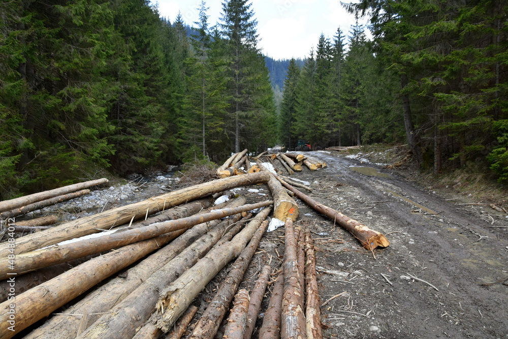 wycinka, zrywka drzew, gospodarka leśna, las, Tatry Zachodnie, wycinka, zrywka drzew, gospodarka leśna, las, Tatry Zachodnie,