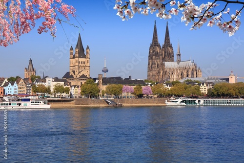 Spring time view in Cologne city, Germany. Cherry blossoms in Germany.