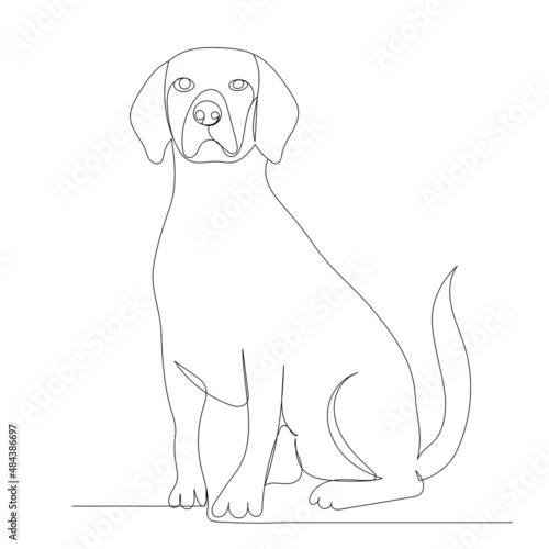 dog sits in one line  contour  vector  isolated