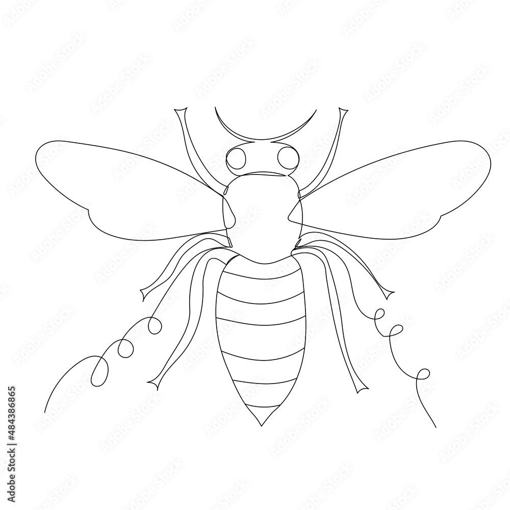 bee, insect one line drawing ,vector bee, insect one line drawing ,vector