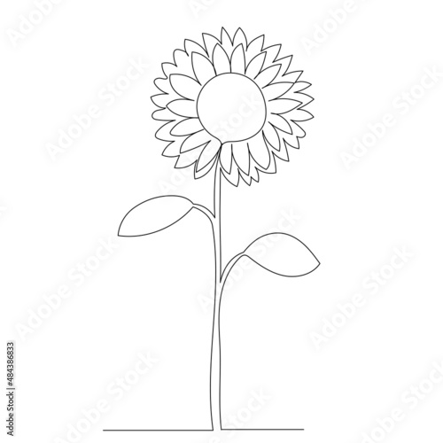 sunflower one line drawing, outline, vector, isolated