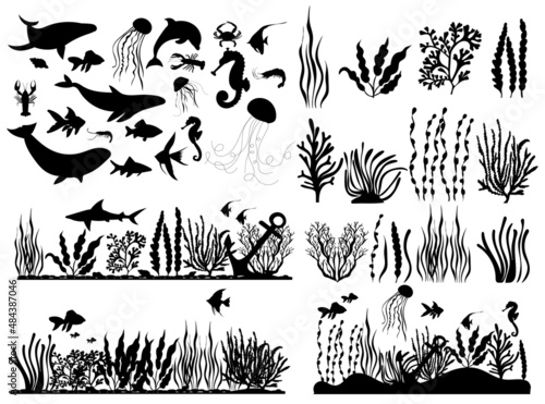 Fototapeta marine animals and fish, seaweed silhouette ,on white background, vector
