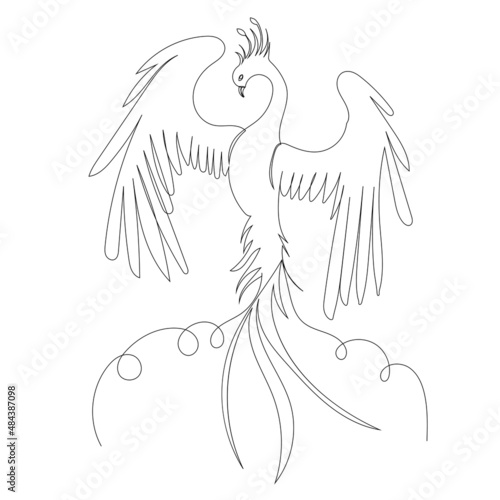 phoenix bird, firebird one line drawing ,vector