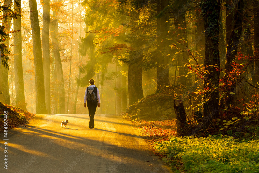 Woman walking in autumn forest Woman walking in autumn forest