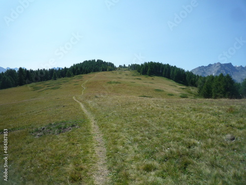 Path on a mountain meadow at summer time