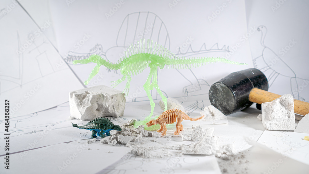 The child's interest in dinosaurs and paleontology. A play area with