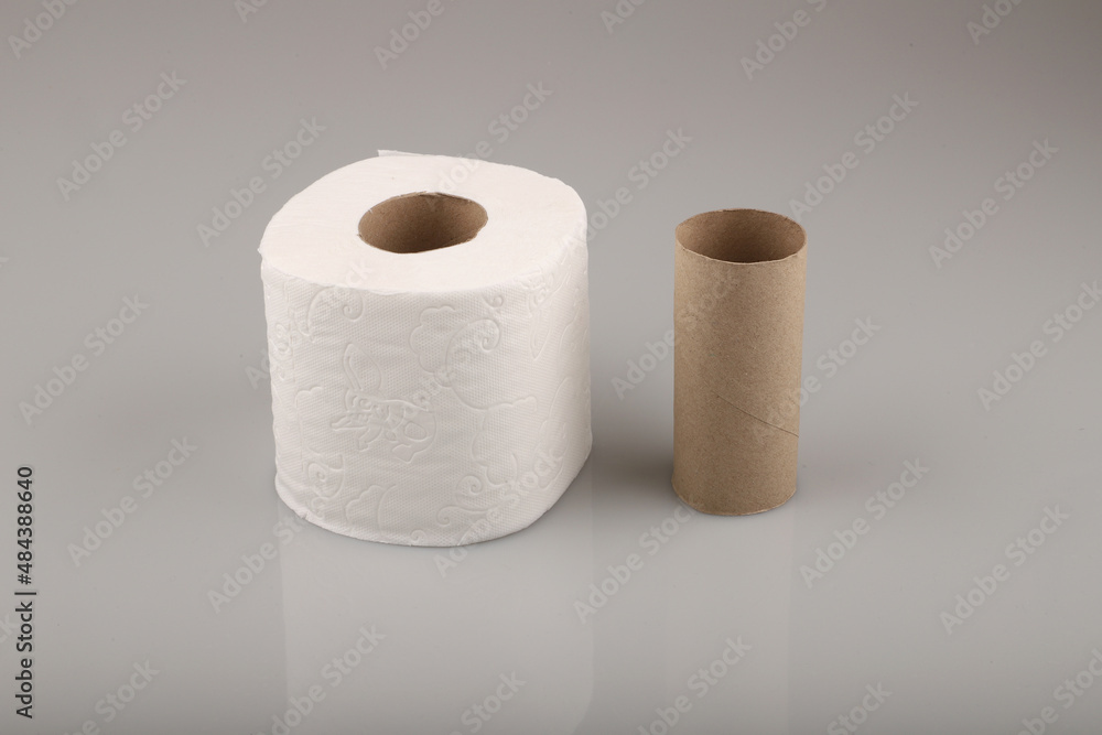 Empty toilet paper roll isolated on white background. Empty toilet paper roll isolated on white background.