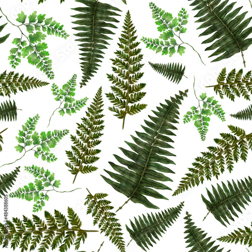 Watercolor seamless pattern with fern leaves. Foliage decoration. Vintage botanical exotic illustration wallpaper. 