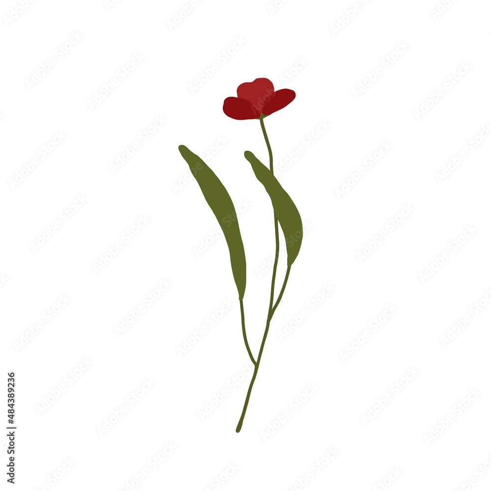 Abstract red wildflower isolated on white background. Wild flower floral botanical plant. Meadow and field herb. Delicate spring flower illustration in hand drawn flat style Abstract red wildflower isolated on white background. Wild flower floral botanical plant. Meadow and field herb. Delicate spring flower illustration in hand drawn flat style