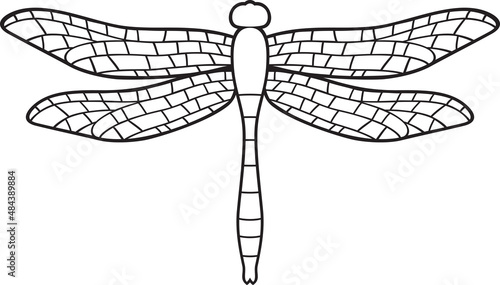 Dragonfly Insect Black and White Vector Illustration