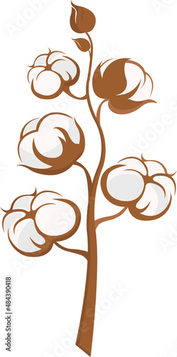 cotton branch