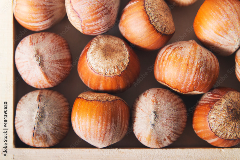 Hazelnut in a box top view Food background Hazelnut in a box top view Food background