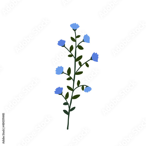 Abstract blue wildflower isolated on white background. Wild flower floral botanical plant. Meadow and field herb. Delicate spring flower illustration in hand drawn flat style