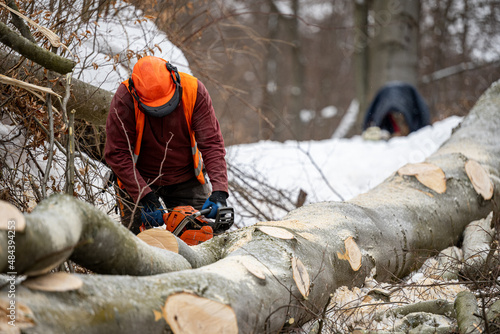 Fototapeta Naklejka Na Ścianę i Meble -  A lumberjack working in the forest in winter. The Carpathian Mountains, Poland.