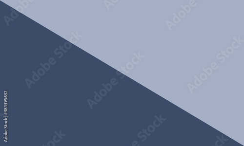 navy background with light blue angled triangle