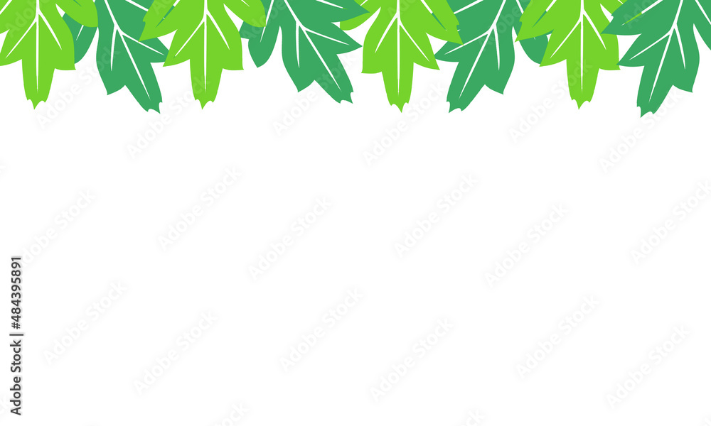 Obraz premium white background with leaves on top