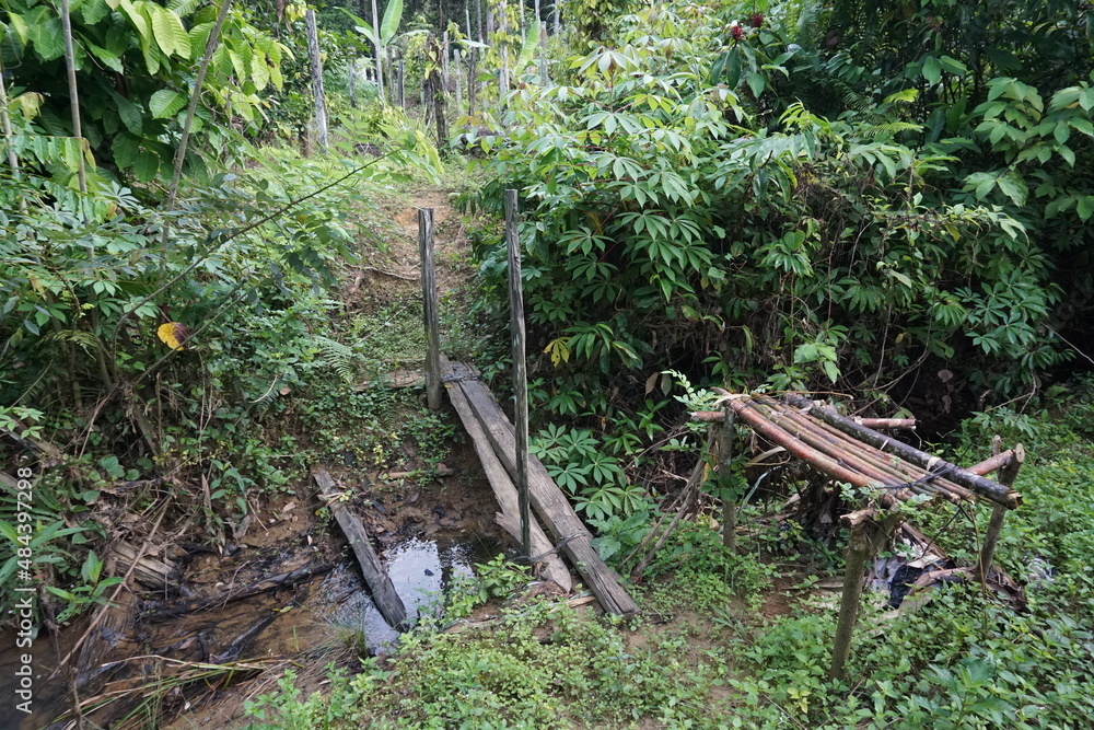 Fototapeta premium A simple pedestrian bridge made of pieces of wood joined together, to cross a small river in a Kalimantan village