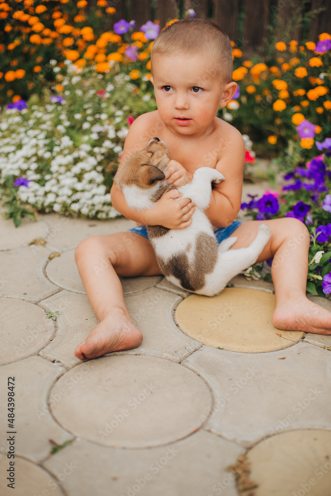 Naklejka premium Little boy playing with puppies. The boy sits with a dog near the flowers. Carefree childhood in the village. The child's love for animals