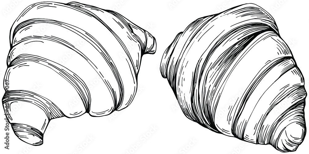 Croissant vector hand drawn illustration in vintage and retro graphic ...