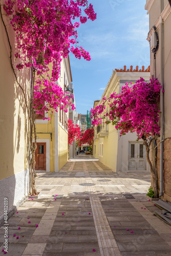 Scenic view of cobbled street  facades of shops and a full blooming bougainvillea in the  old town of Nafplio Argolis Greece.