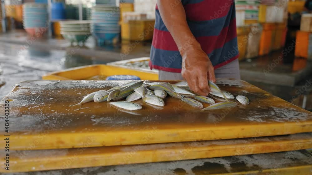 Close Up Shot of Man Throwing Fish Close Up Shot of Man Throwing Fish