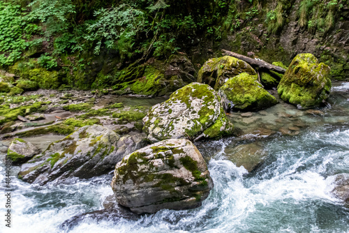 waterfall in the forest