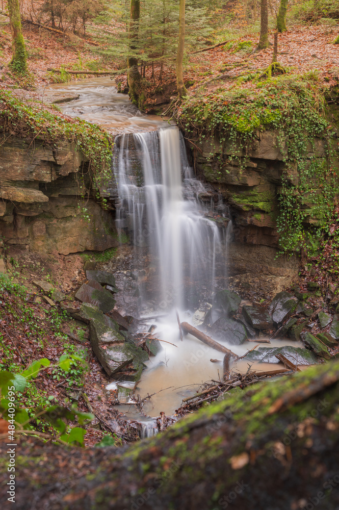 Obraz premium Forellensprung im Herbst, Wasserfall mit Kalksandsteinbank im Wald - Langenberg, Welzheim