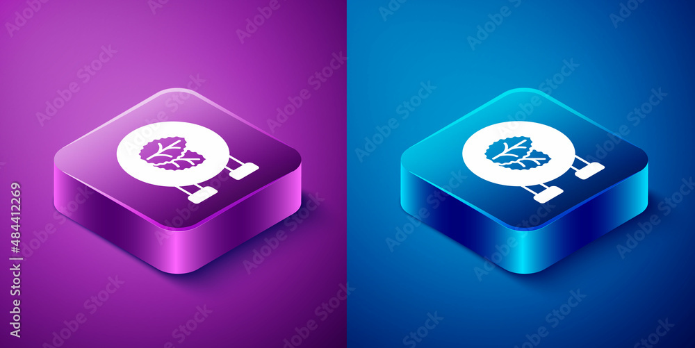 Isometric Tobacco leaf shop icon isolated on blue and purple background. Tobacco leaves. Square button. Vector Isometric Tobacco leaf shop icon isolated on blue and purple background. Tobacco leaves. Square button. Vector