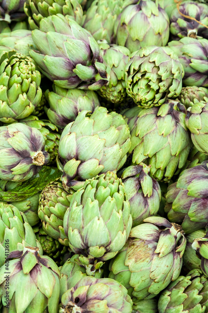 Fototapeta premium Artichokes Background Pattern