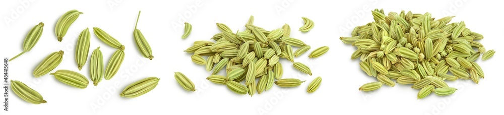 Dried fennel seeds isolated on white background with clipping path. Top view. Flat lay. Set or collection Dried fennel seeds isolated on white background with clipping path. Top view. Flat lay. Set or collection