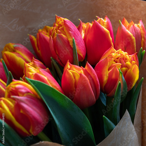 Bouquet of yellow-red tulips. Close-up. Gift for women s Day. An image for lower shop  postcard. Selective focus.