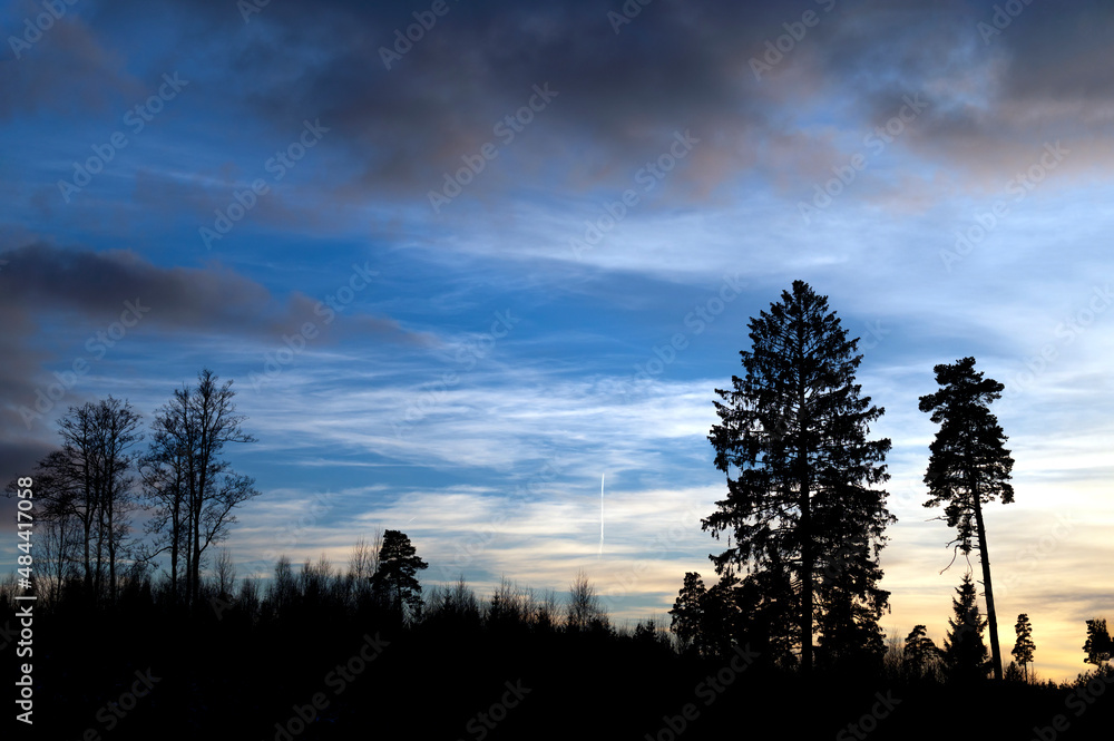 Obraz premium Beautiful sunset in the forest with trees silhouette in the dark.