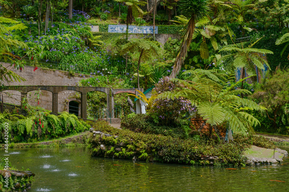 Botanical garden at Funchal, Madeira
