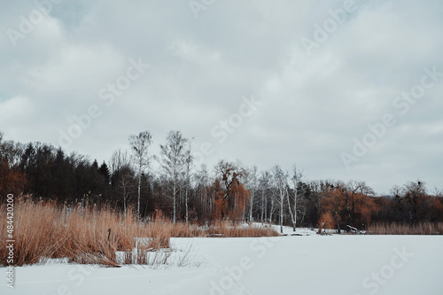 Frozen rates and snow-covered forest © Denys