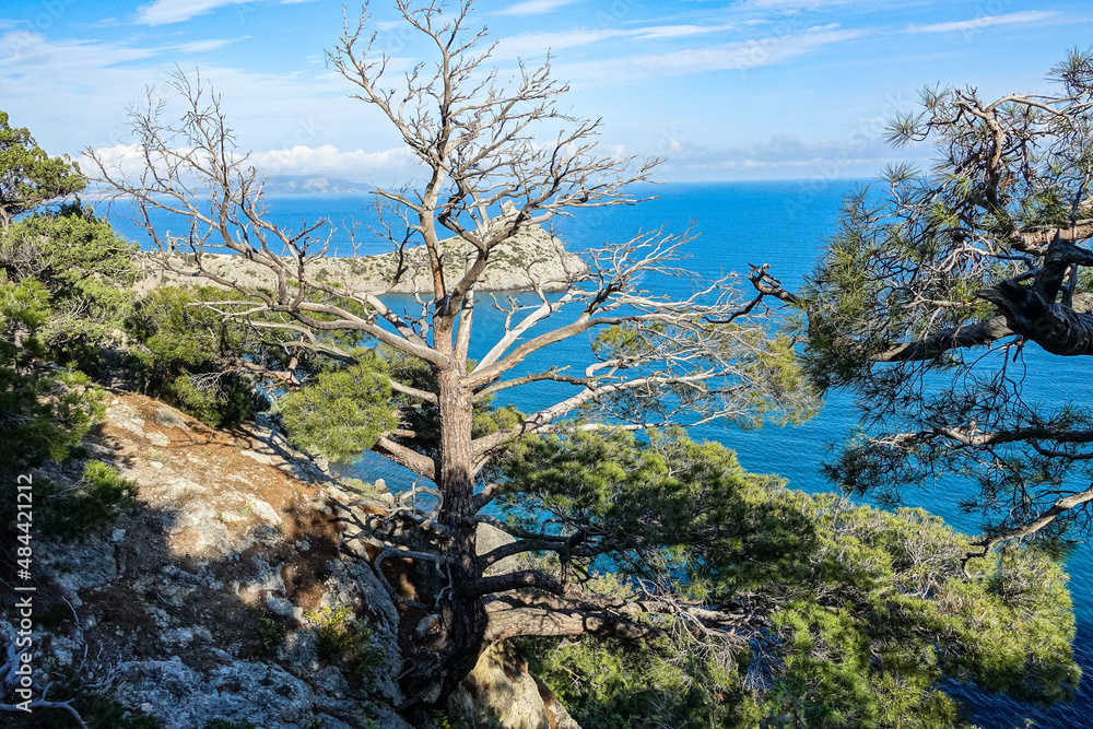 Beautiful seascape, panorama of cape Kapchik to the Galitsin Trail. Russia. Beautiful seascape, panorama of cape Kapchik to the Galitsin Trail. Russia.