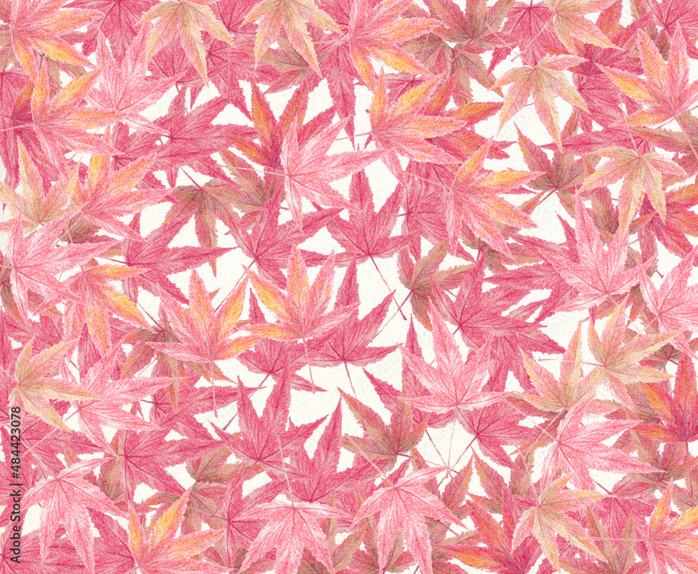 紅葉の背景素材 紅葉の背景素材