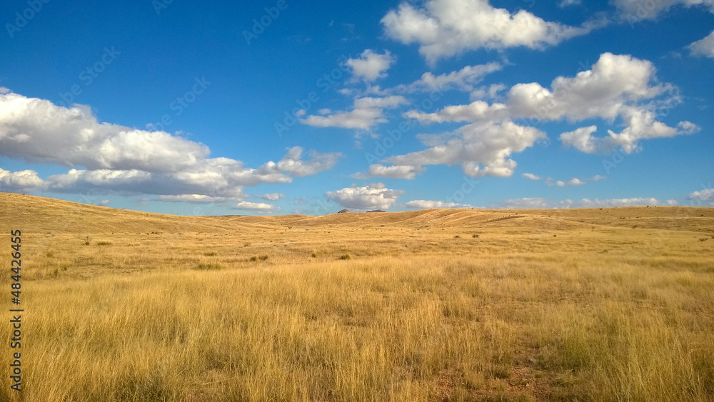 high desert field with clouds