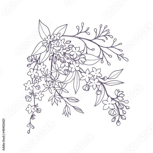 Bouquet of decorative flowering branches of spirea, jasmine with foliage and small flowers, freehand drawing with liner in black outline and white fill.