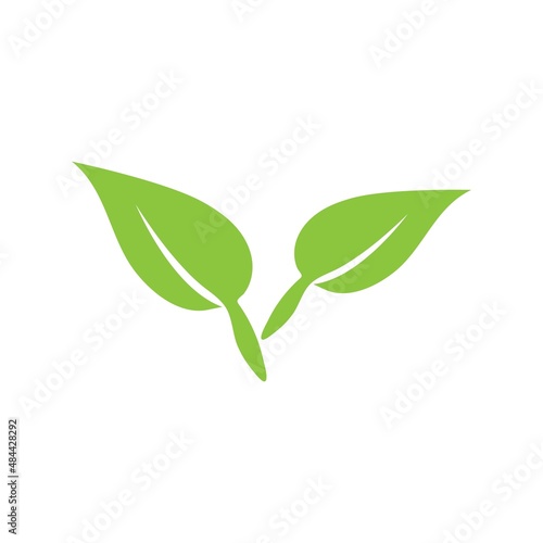 leaf logo icon vector design template © Tomi43