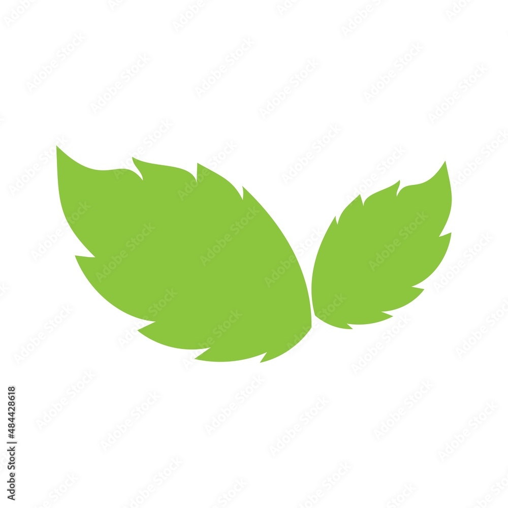 leaf logo icon vector design template leaf logo icon vector design template