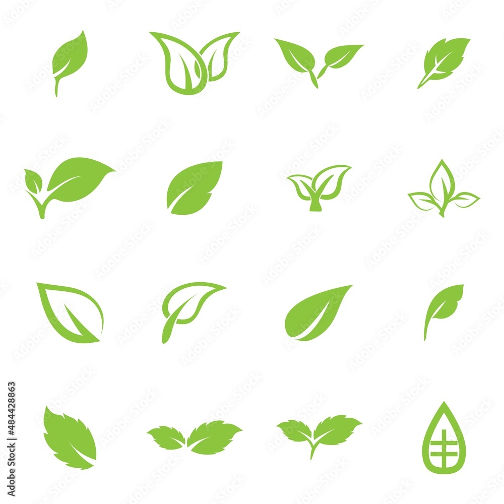 leaf logo icon vector design template leaf logo icon vector design template