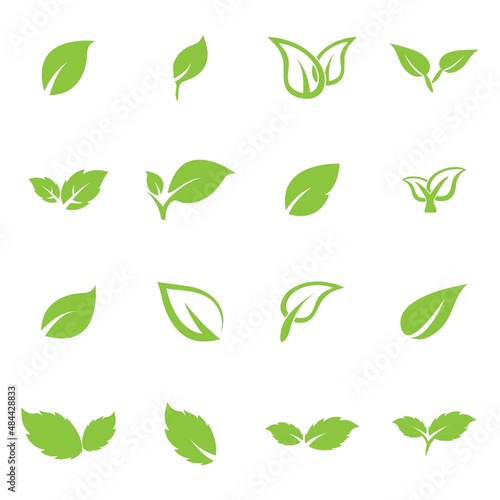 leaf logo icon vector design template